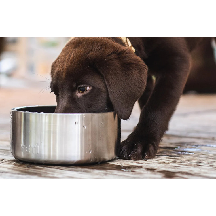 Yeti Boomer 4 Dog Bowl